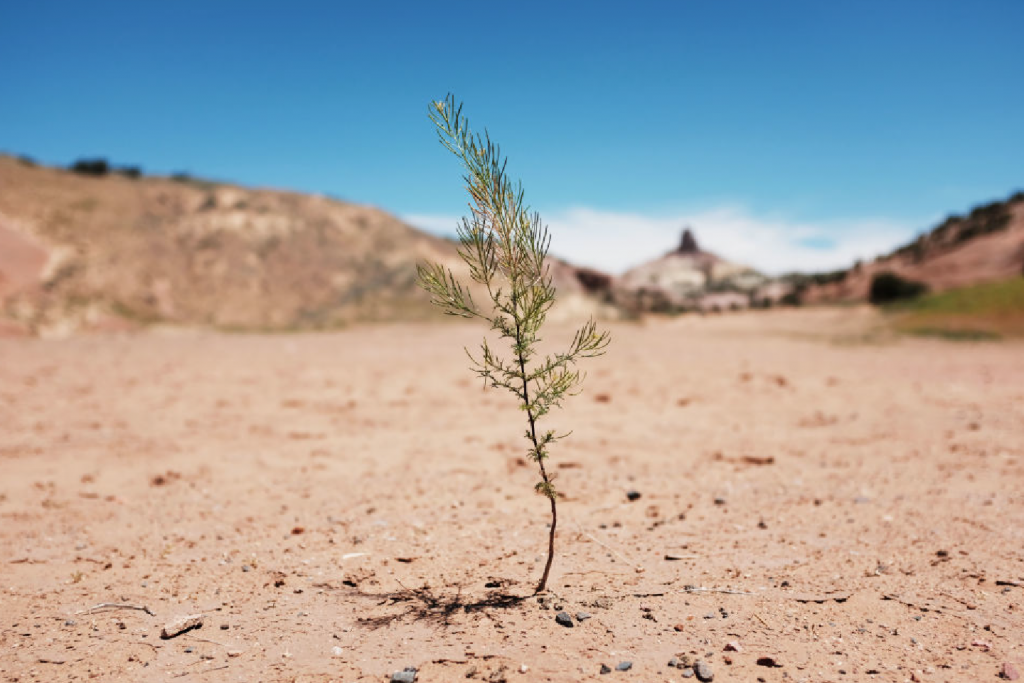 Un dia sin agua y todos los problemas que esto traería a la vida