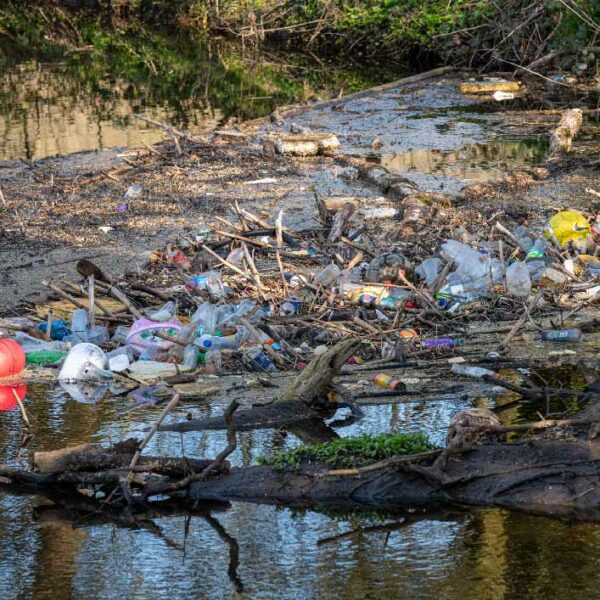 contaminación por plásticos en méxico