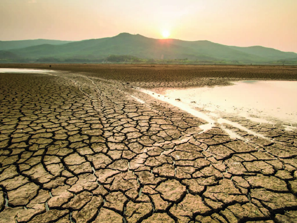 qué afectaciones causa la sequía en un ecosistema