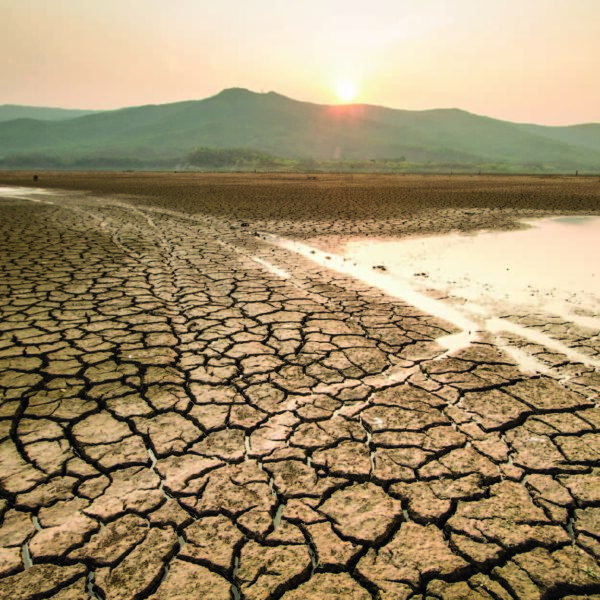 qué afectaciones causa la sequía en un ecosistema