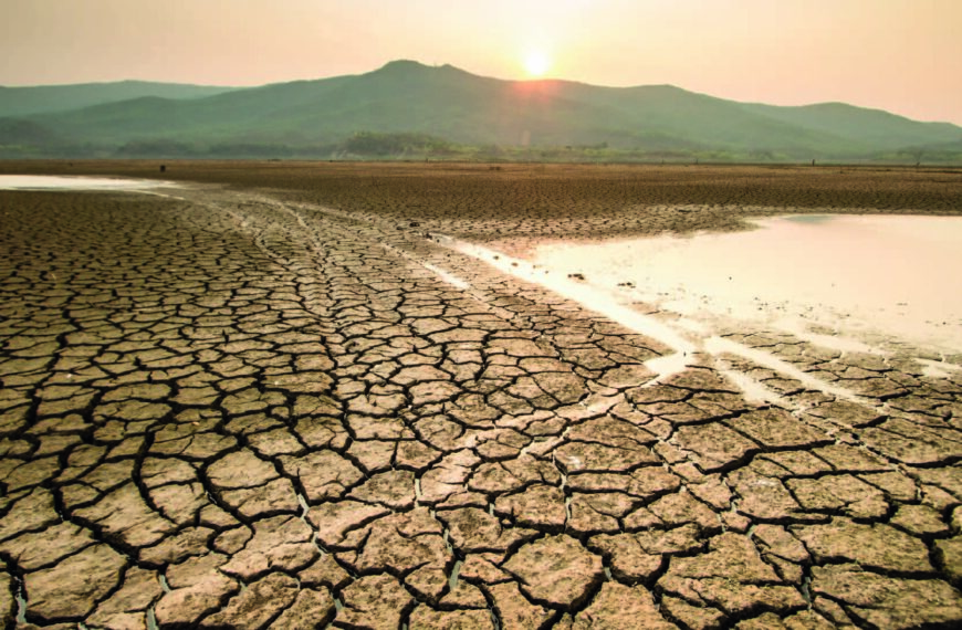 qué afectaciones causa la sequía en un ecosistema