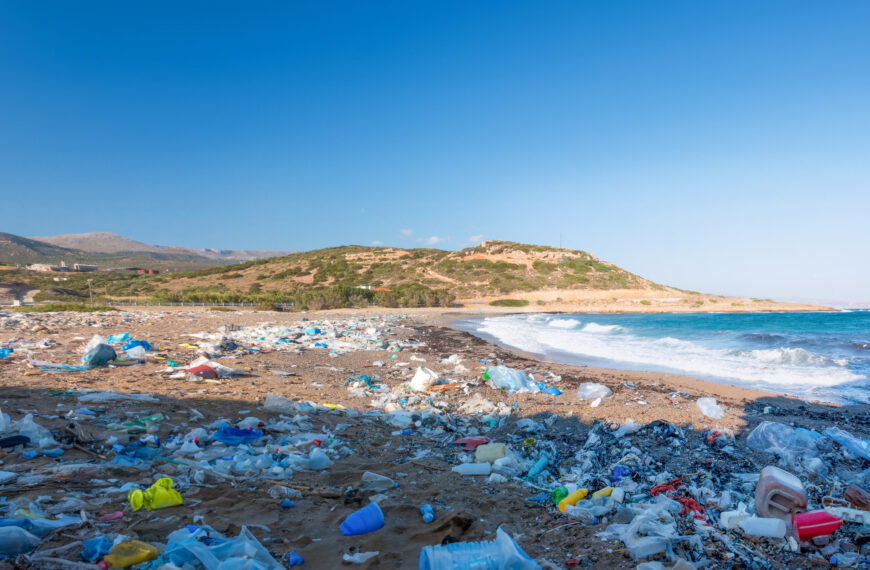 contaminación de los cuerpos de agua