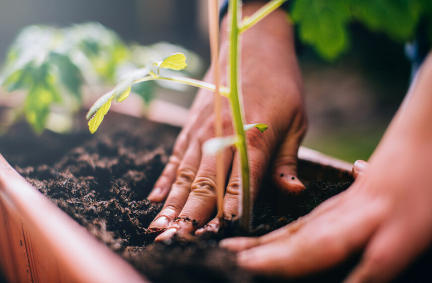 26 de enero día mundial de la educación ambiental