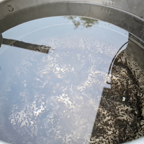Consejos sobre cómo conservar el agua en buen estado
