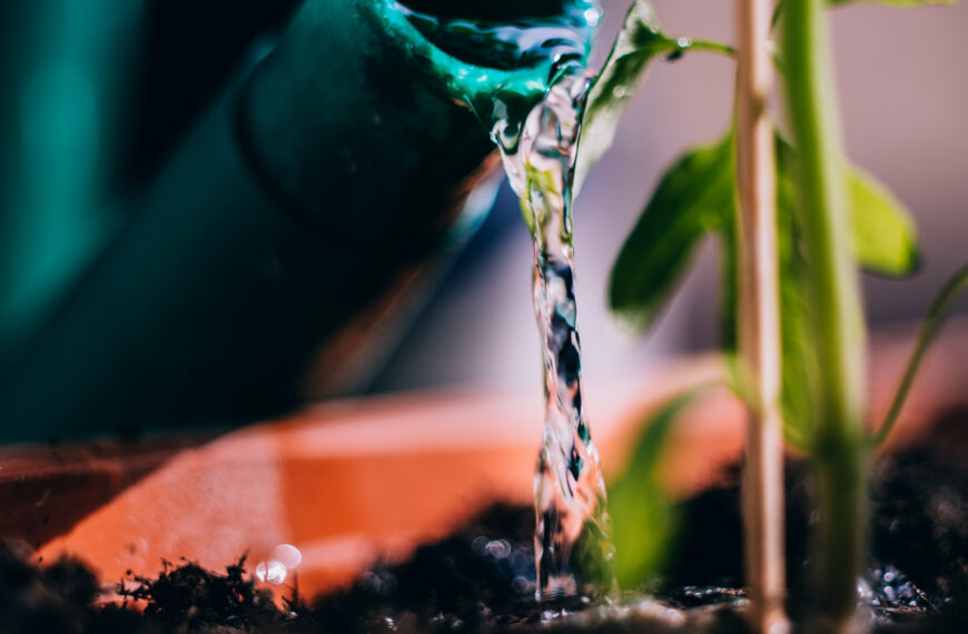 Día Mundial del Agua: estrategias para enfrentar la escasez de agua en México
